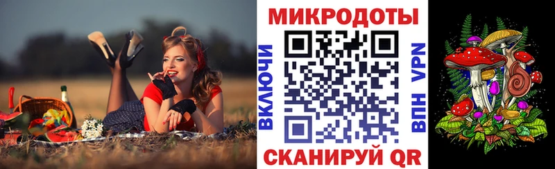 Псилоцибиновые грибы Psilocybe  Назрань 
