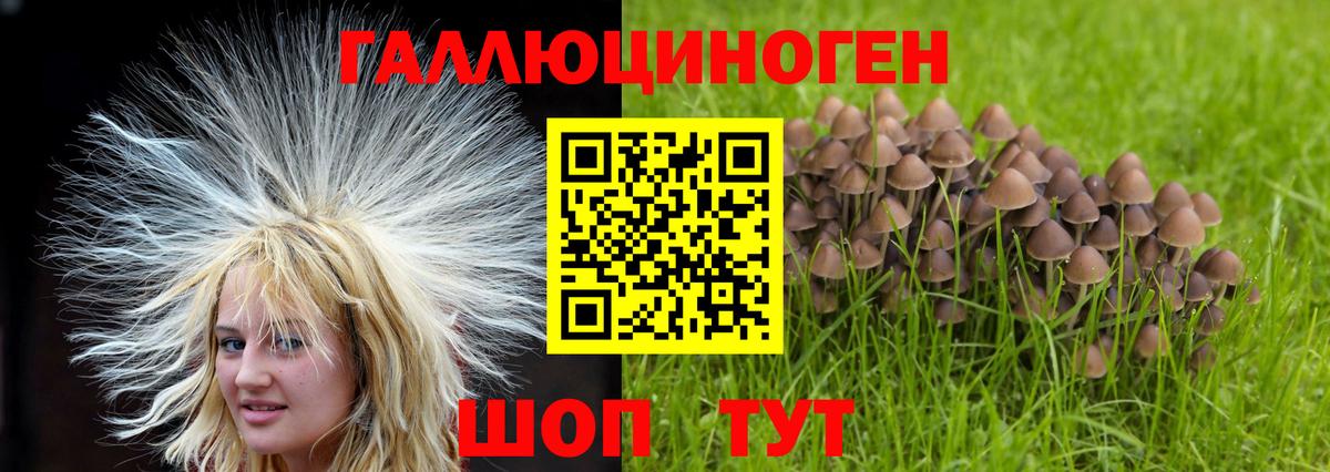 Галлюциногенные грибы MAGIC MUSHROOMS  Псилоцибиновые грибы мицелий  Назрань  Вход с VPN 
