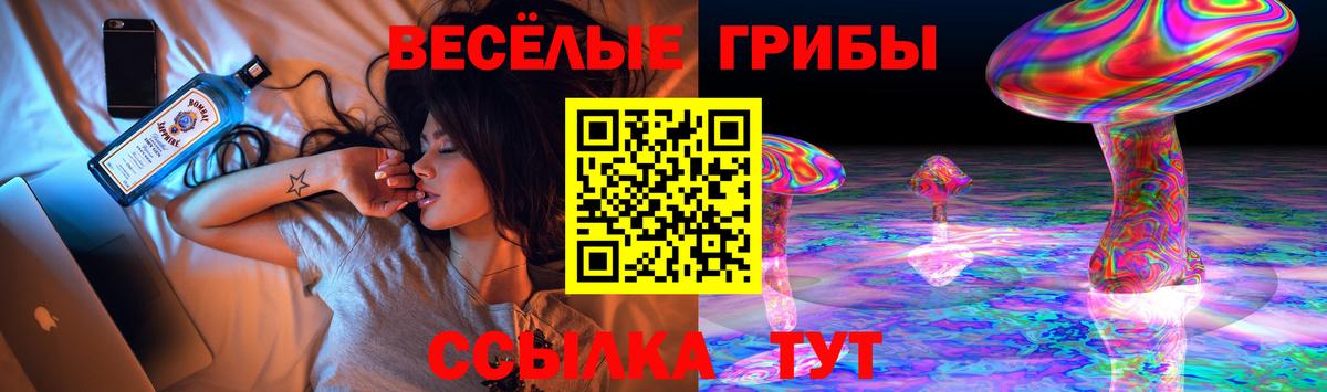 ГАШ  Назрань  МЕФ   Гашиш  Вход с VPN  Бошки Шишки  NBOMe 